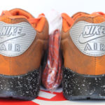 Nike Air Max 90 QS “Mars Landing”