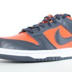 Nike Dunk Low Champ Colors