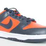 Nike Dunk Low Champ Colors