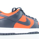 Nike Dunk Low Champ Colors