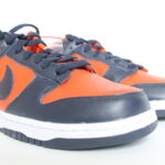 Nike Dunk Low Champ Colors