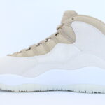 Air Jordan 10 Retro SP SOLE FLY