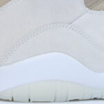 Air Jordan 10 Retro SP SOLE FLY