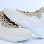 Air Jordan 10 Retro SP SOLE FLY