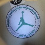 Air Jordan 10 Retro SP SOLE FLY