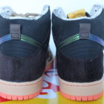 Concepts X Nike SB Dunk High Pro "TurDUNKen"