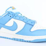 Nike Dunk Low Women's - Coast