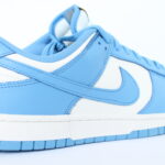 Nike Dunk Low Women's - Coast