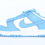 Nike Dunk Low Women's - Coast