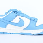 Nike Dunk Low Women's - Coast