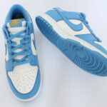 Nike Dunk Low Women's - Coast