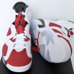 Air Jordan 6 Retro Carmine (2021)