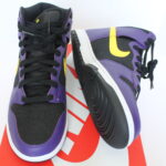 Nike Dunk High EMB Court Purple RM 499 'Lakers'