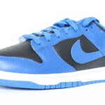 Nike Dunk Low - Hyper Cobalt (2021)