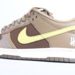 Nike x UNDFTD Dunk Low SP 'Canteen'