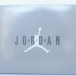 Air Jordan 11 Retro Cool Grey (2021)