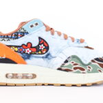 Nike Air Max 1 SP Concepts Heavy